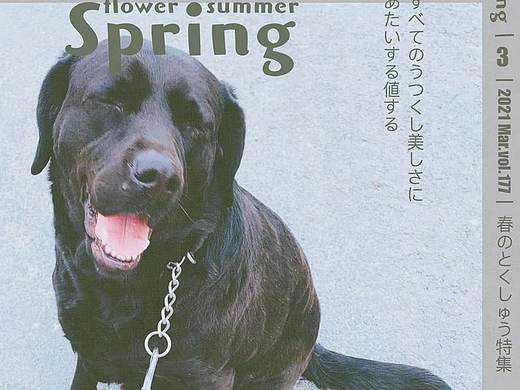 随拍。（个人主页-ZNTEwMDM4NjQ=） - 风光摄影 - 站酷设计师演珩原创素材 - 站酷ZCOOL