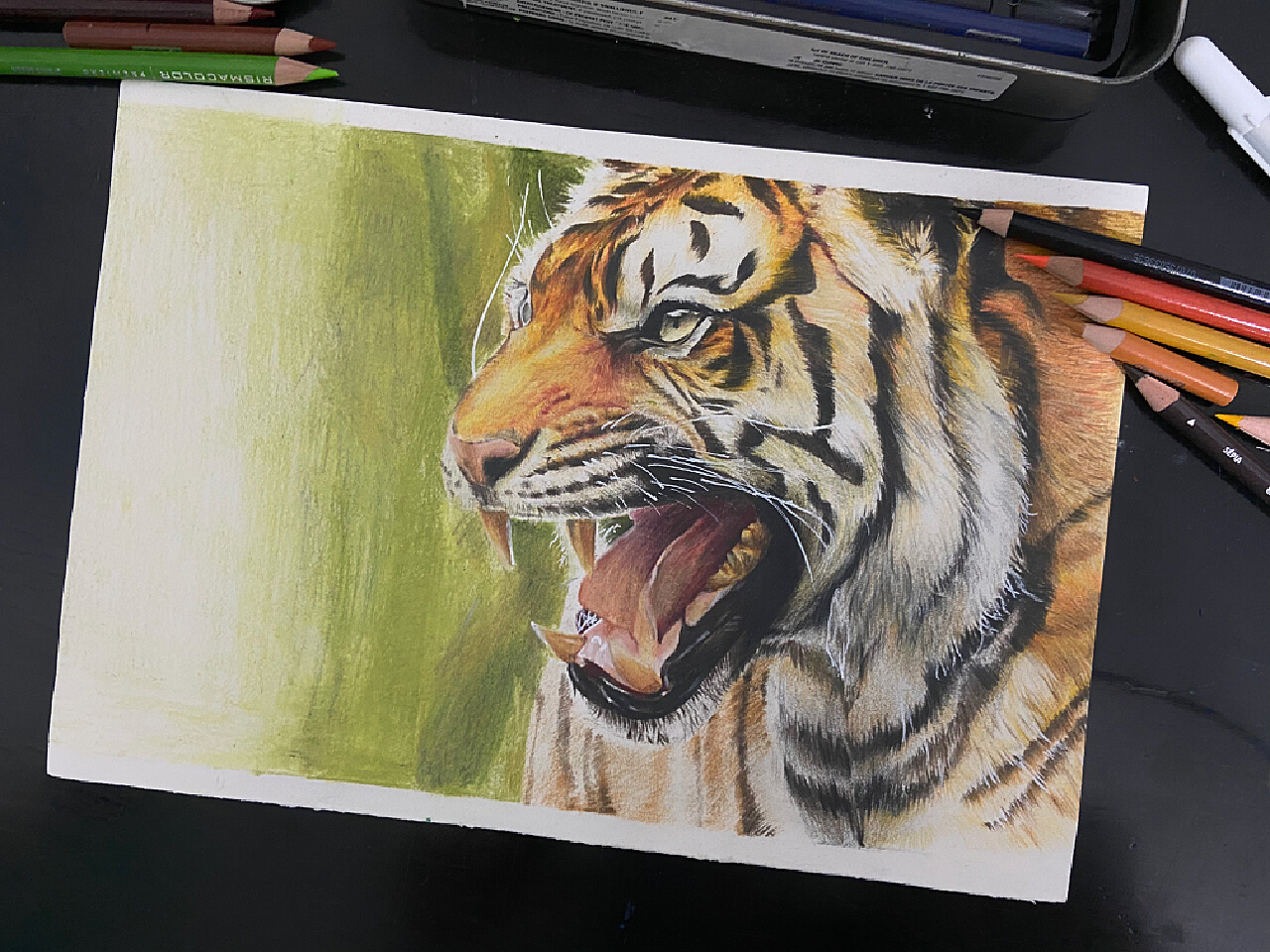 《虎》D_HY（彩铅画）|纯艺术|绘画|Draw_HY - 原创作品 - 站酷 (ZCOOL)