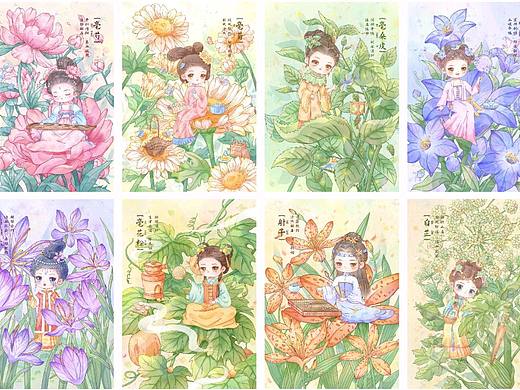 中草药插画设计