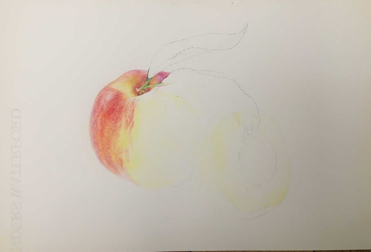 彩铅画 桃子_龚方俊手绘-站酷zcool