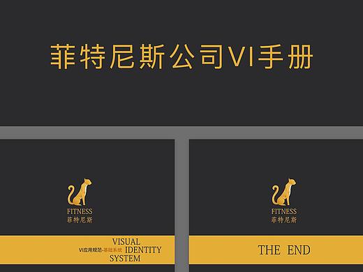 菲特尼斯公司VI手册