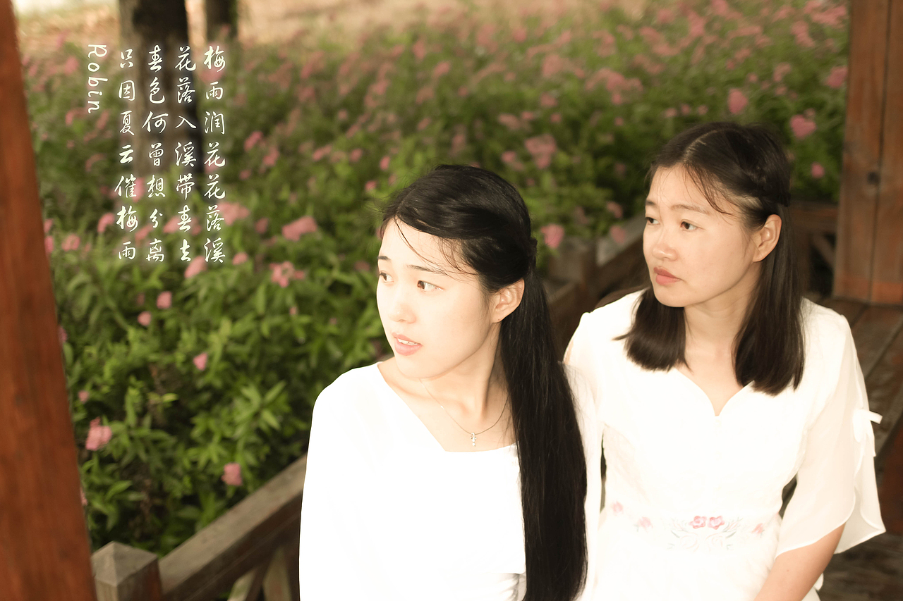 -----------------分格线---------------