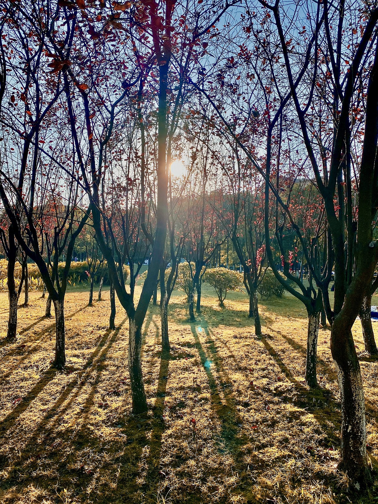 随行（图ZMjY0Mjg3NTg0） - 时尚/艺术摄影 - 站酷设计师yanhai250原创素材 - 站酷ZCOOL