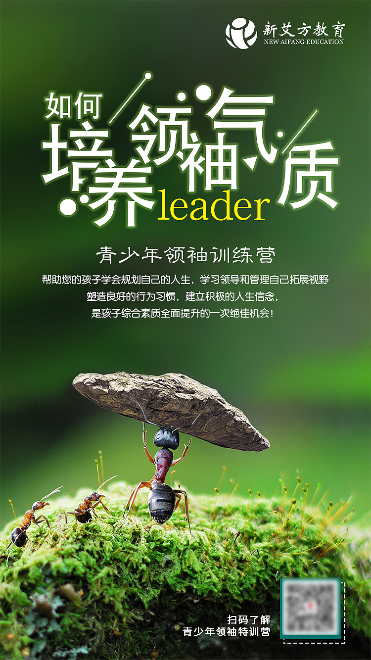 教育宣传设计（图ZMTY1ODUzODQ4） - 海报 - 站酷设计师彩可糖糖原创素材 - 站酷ZCOOL