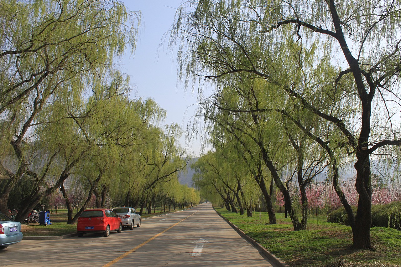 这些年存的照片