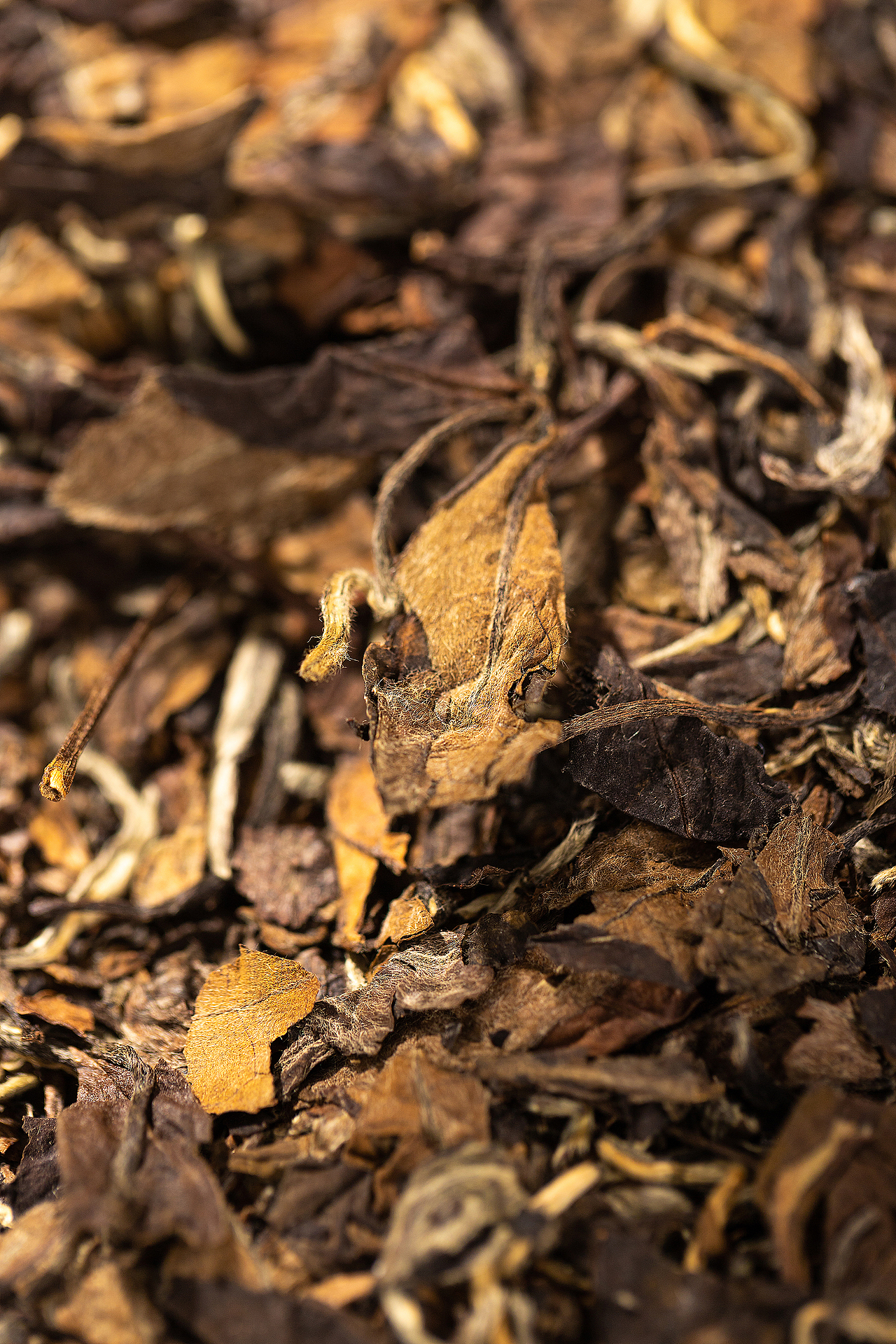 茶饼 | 中式（图ZMjM5NzI5MzU2） - 产品摄影 - 站酷设计师摄影师面包师傅原创素材 - 站酷ZCOOL