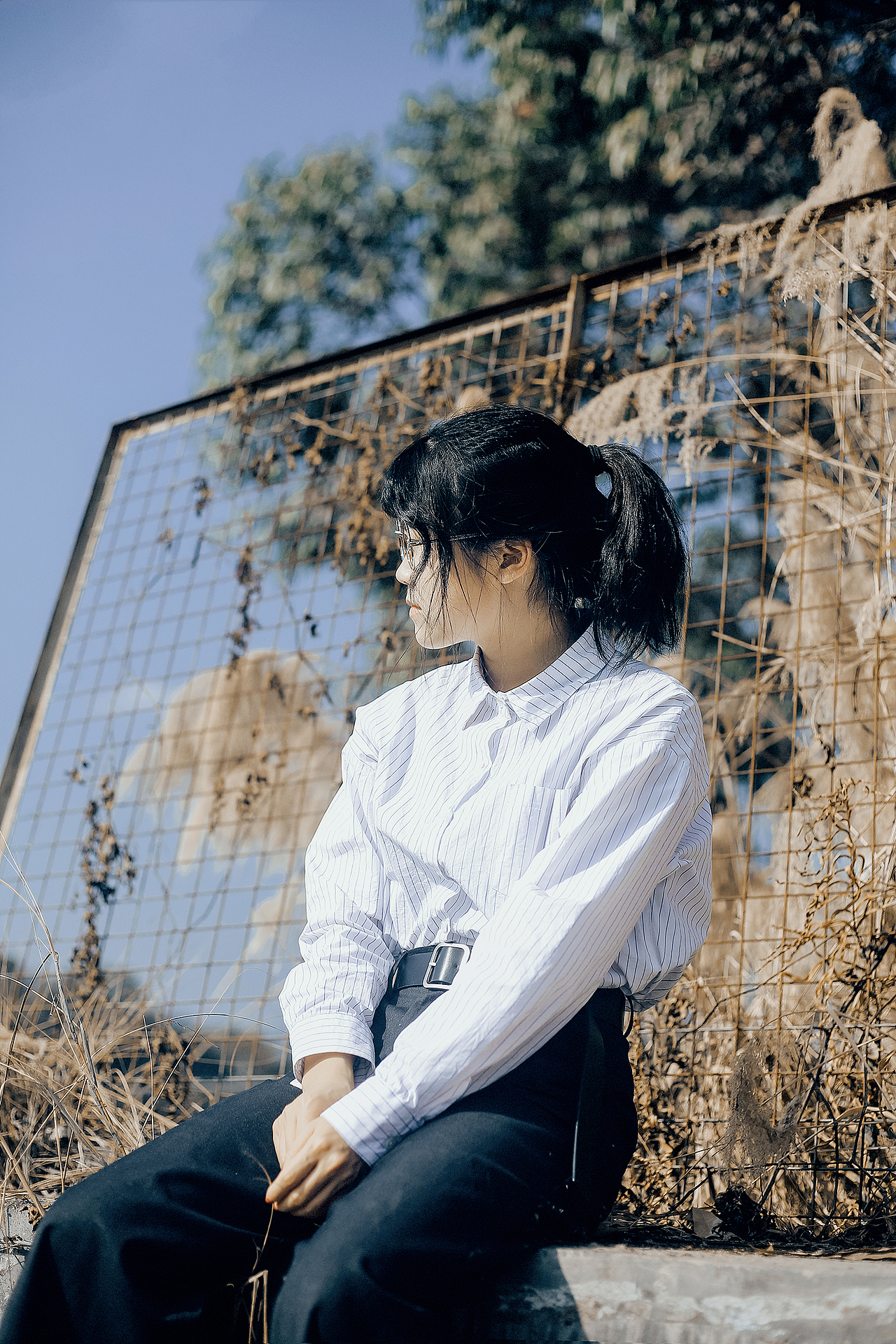 愿你所有的早晨,都充满阳光