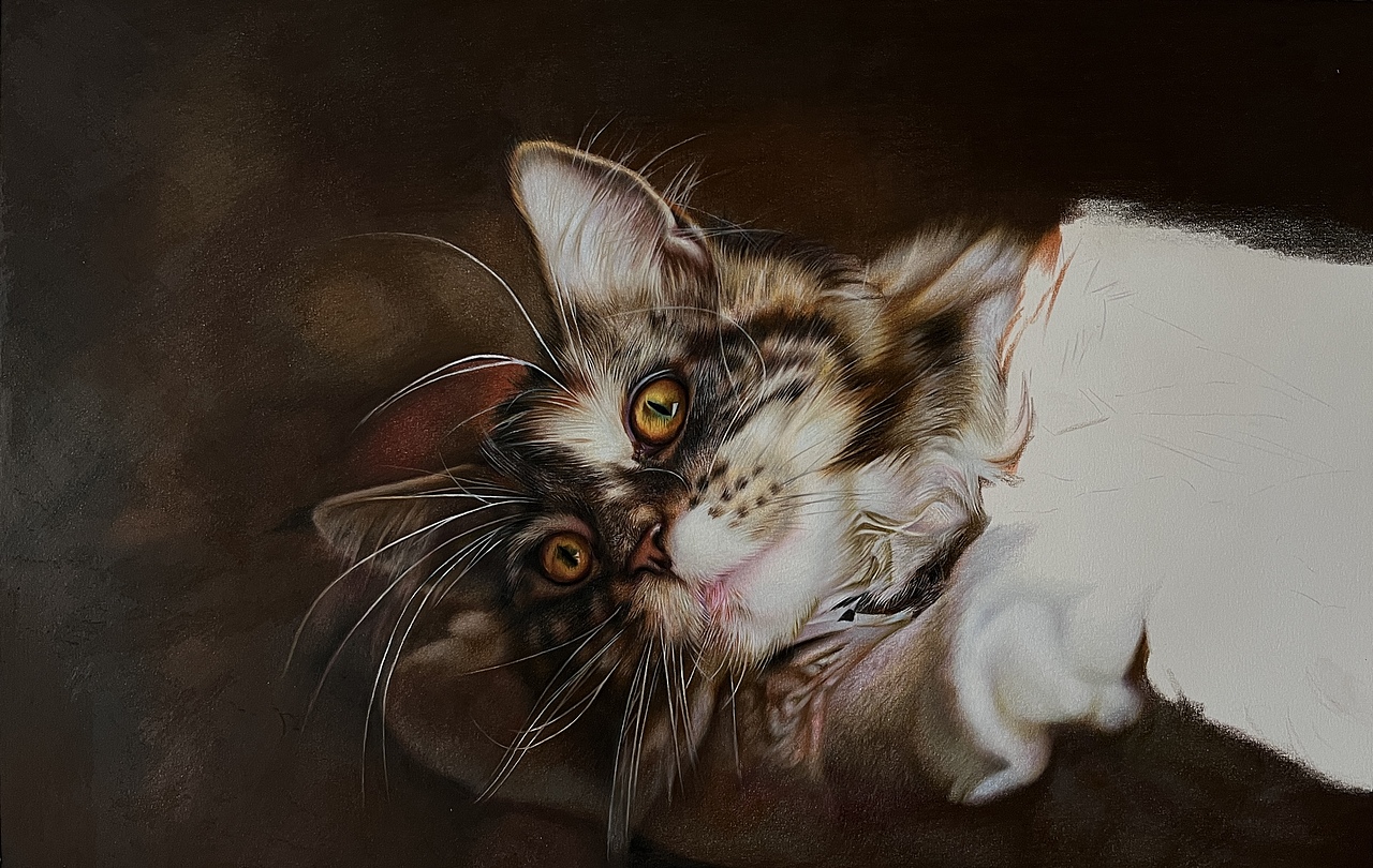 彩铅纯手绘写实猫咪（图ZMjk2NzExNzY4） - 绘画 - 站酷设计师臻于至善彩铅原创素材 - 站酷ZCOOL