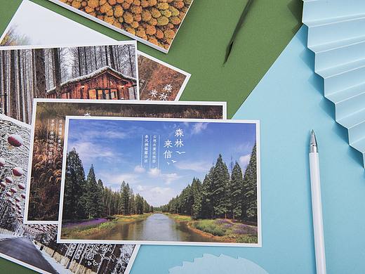 苏橙文创×黄海森林×摄影明信片