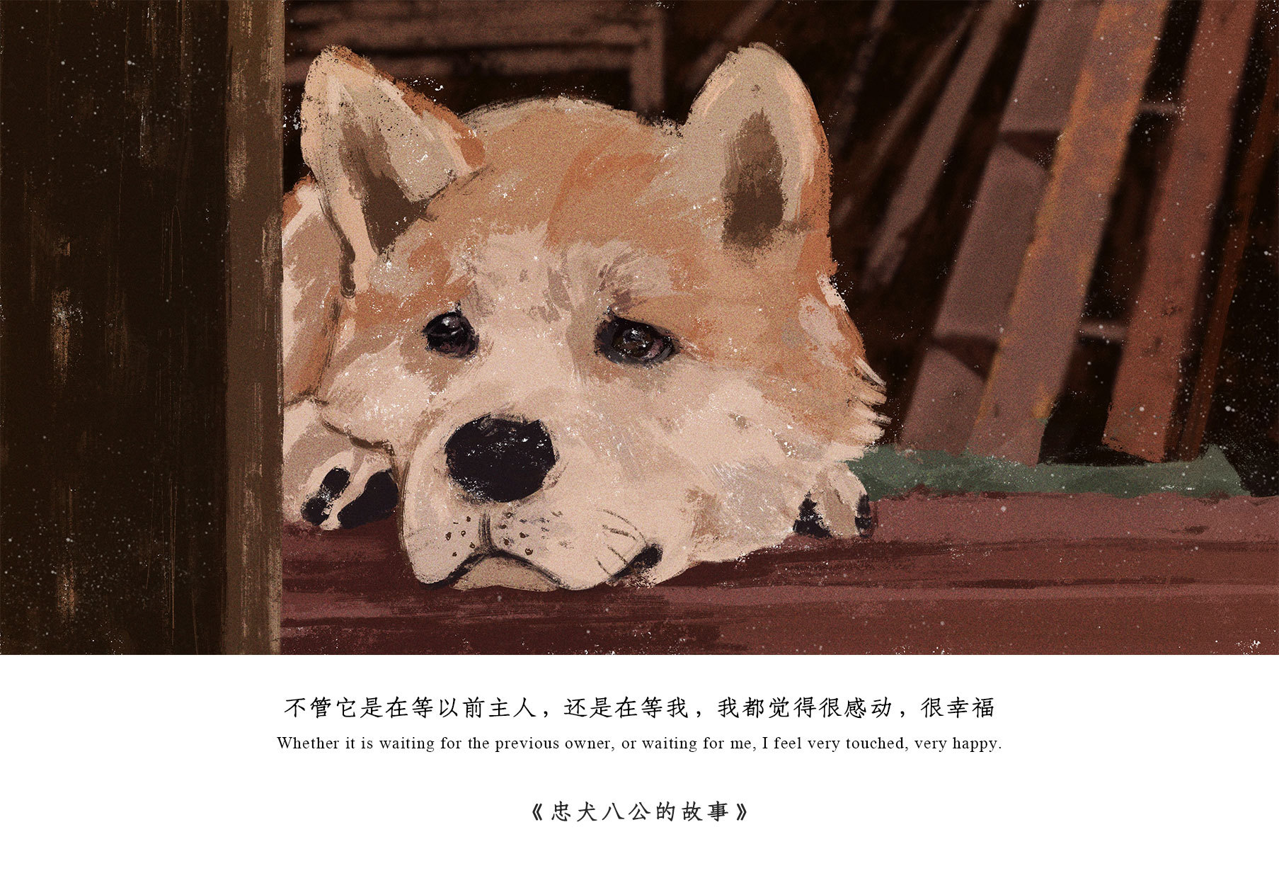忠犬八公|插画|绘本|爱画画的麦蔻 - 原创作品 - 站酷 (ZCOOL)