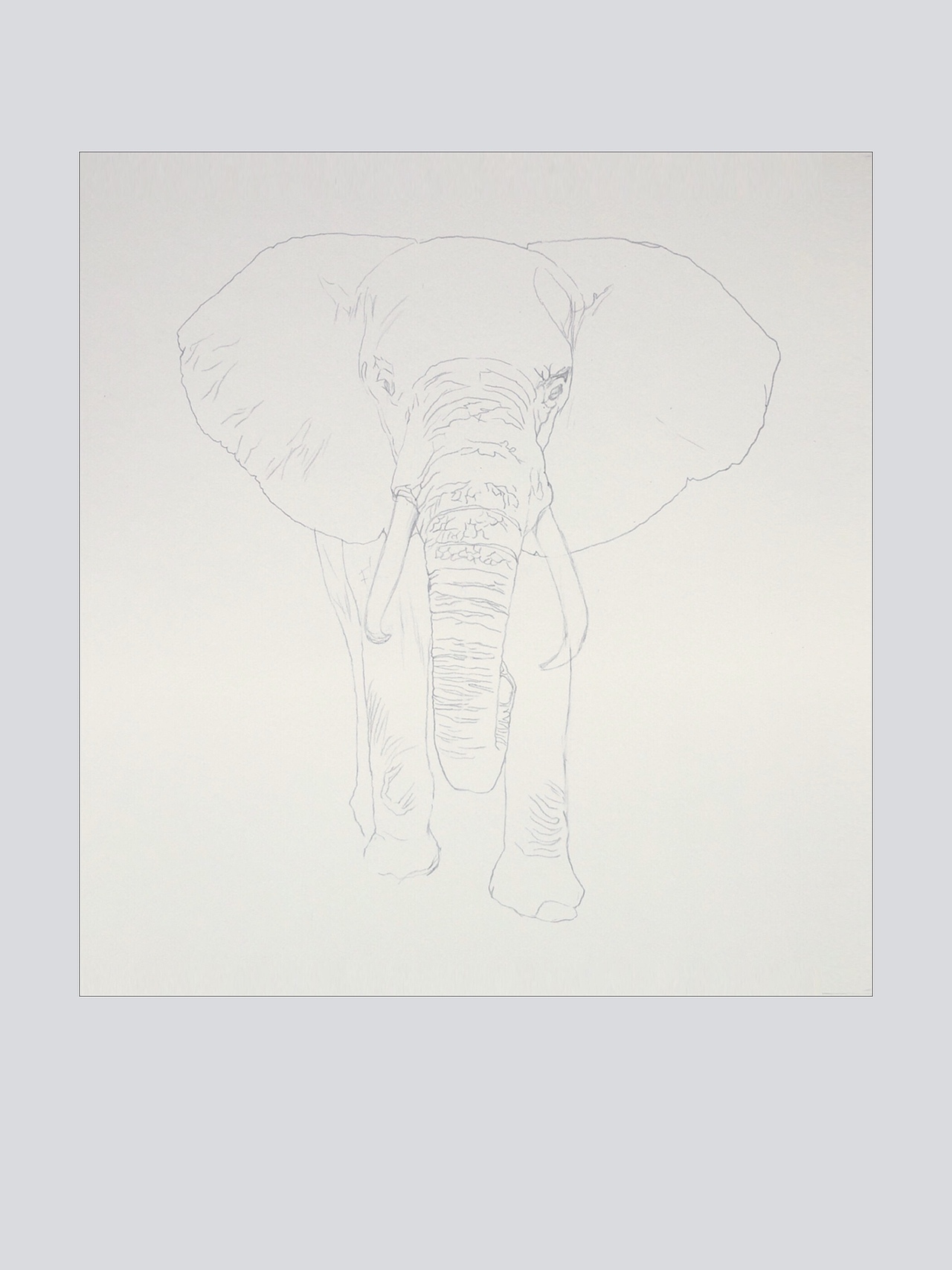 :elephant:2017让我们以特别的方式告别:elephant: