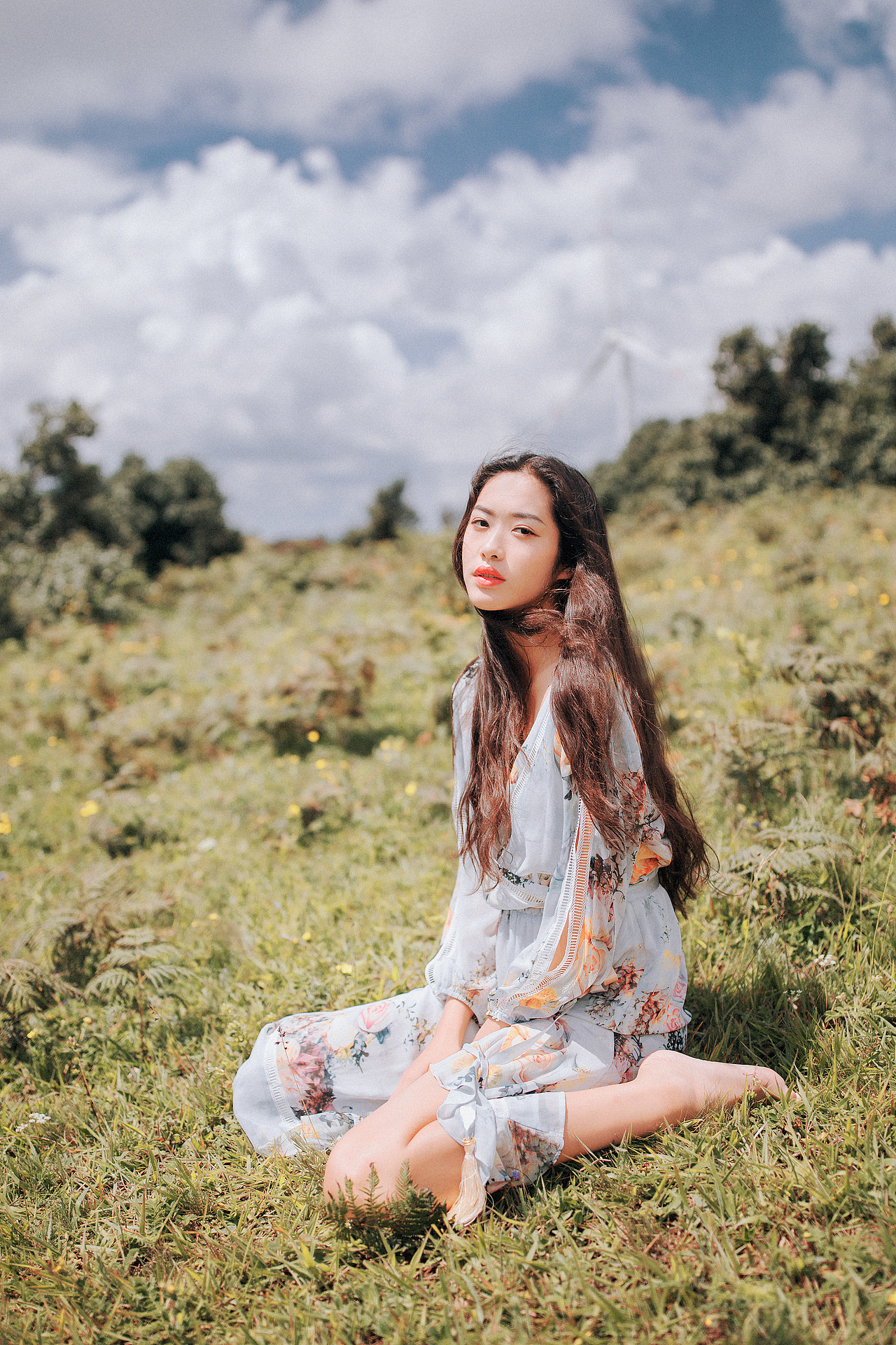 旋覆花盛开的山坡