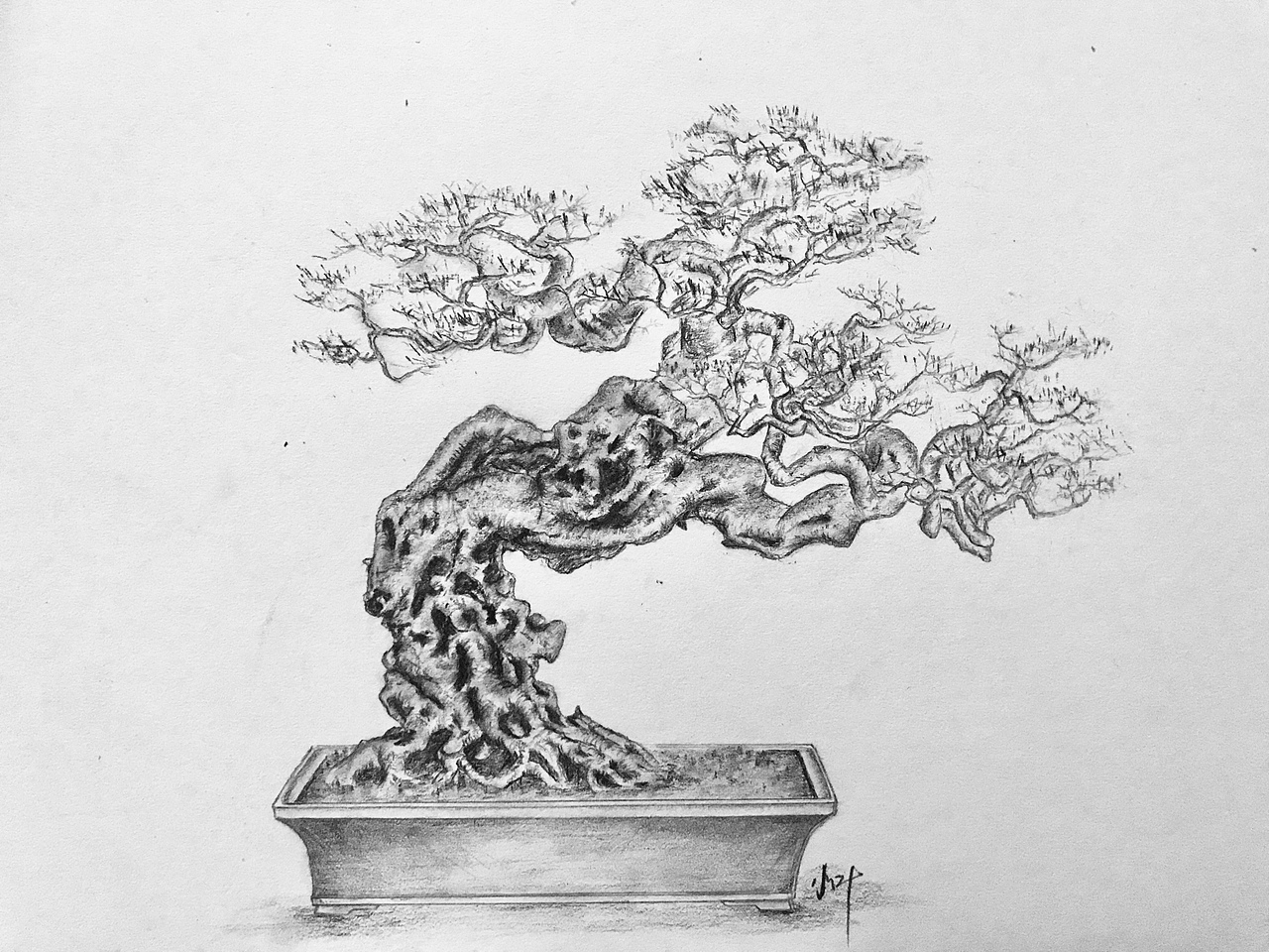 手绘盆景（图ZMTUxMTI0OTYw） - 像素画 - 站酷设计师Z75835907原创素材 - 站酷ZCOOL