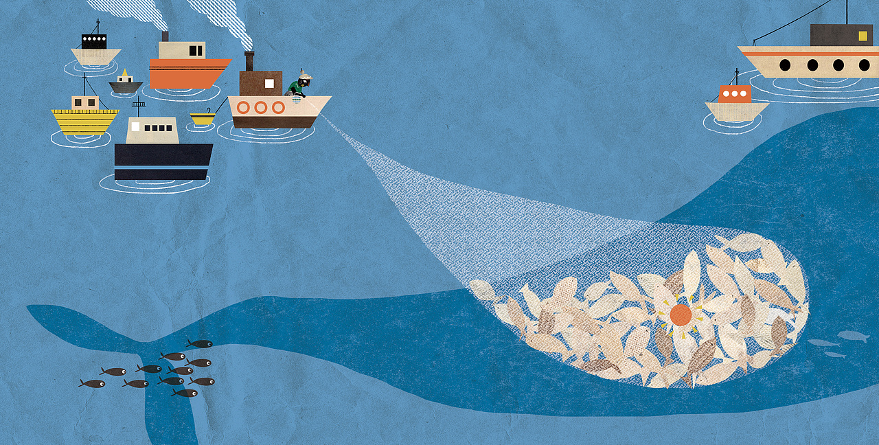 #2019青春答卷#《奶奶的新毛衣》