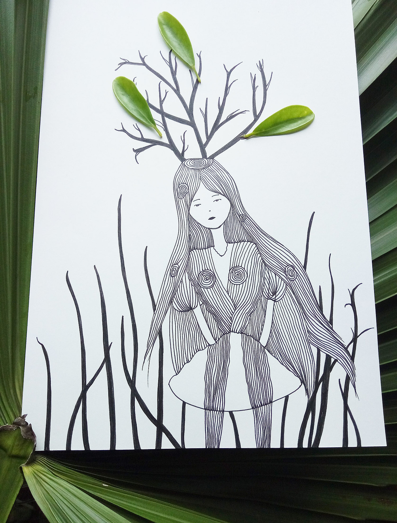 笔笔人生,圈圈年轮