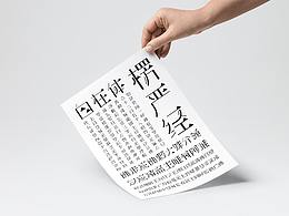 2017 / 毕业设计 — “自在体”、《楞严经》