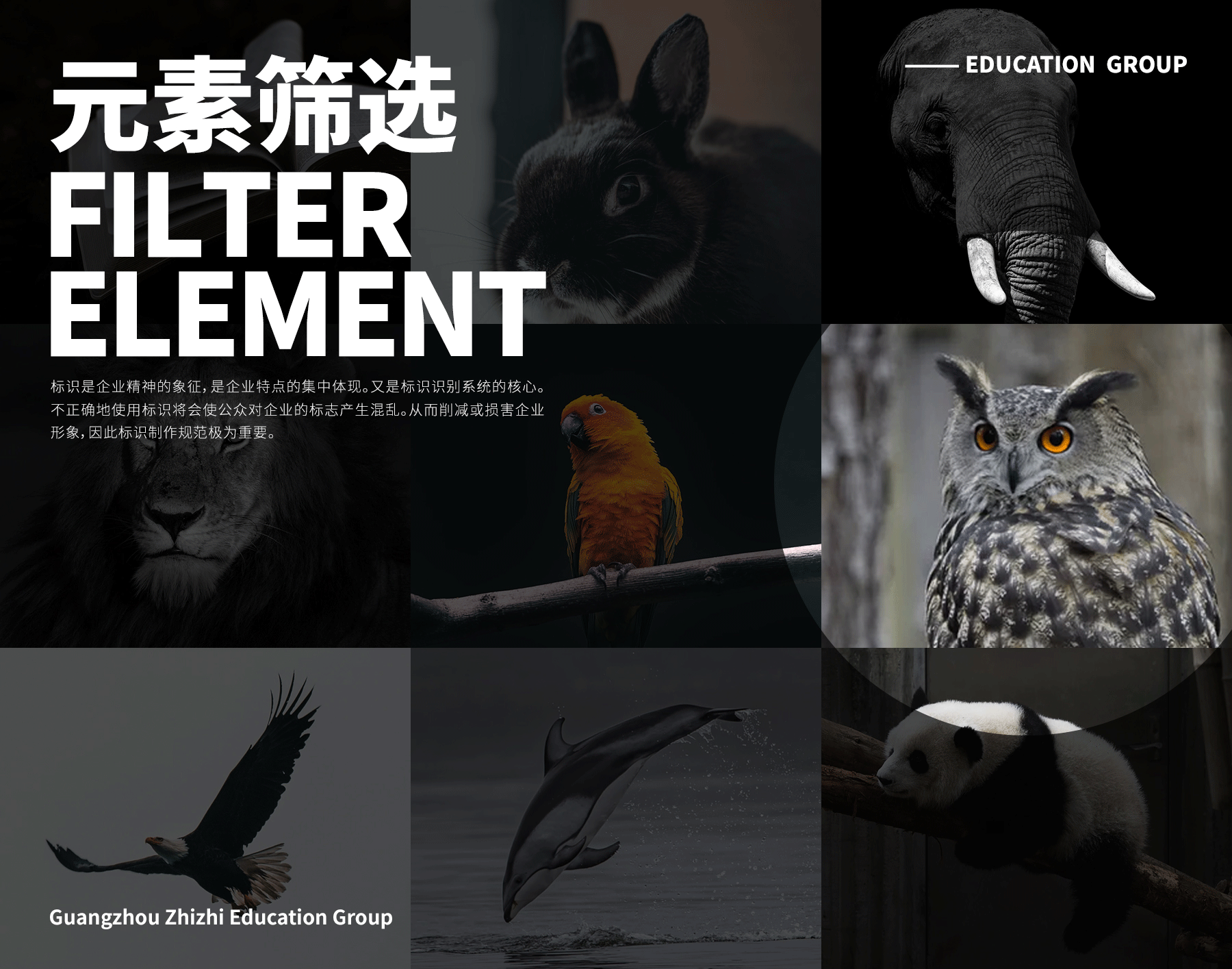 “致知教育”品牌CI设计（图ZMjQxNjQzMTQ0） - 品牌 - 站酷设计师巨蜂创意原创素材 - 站酷ZCOOL