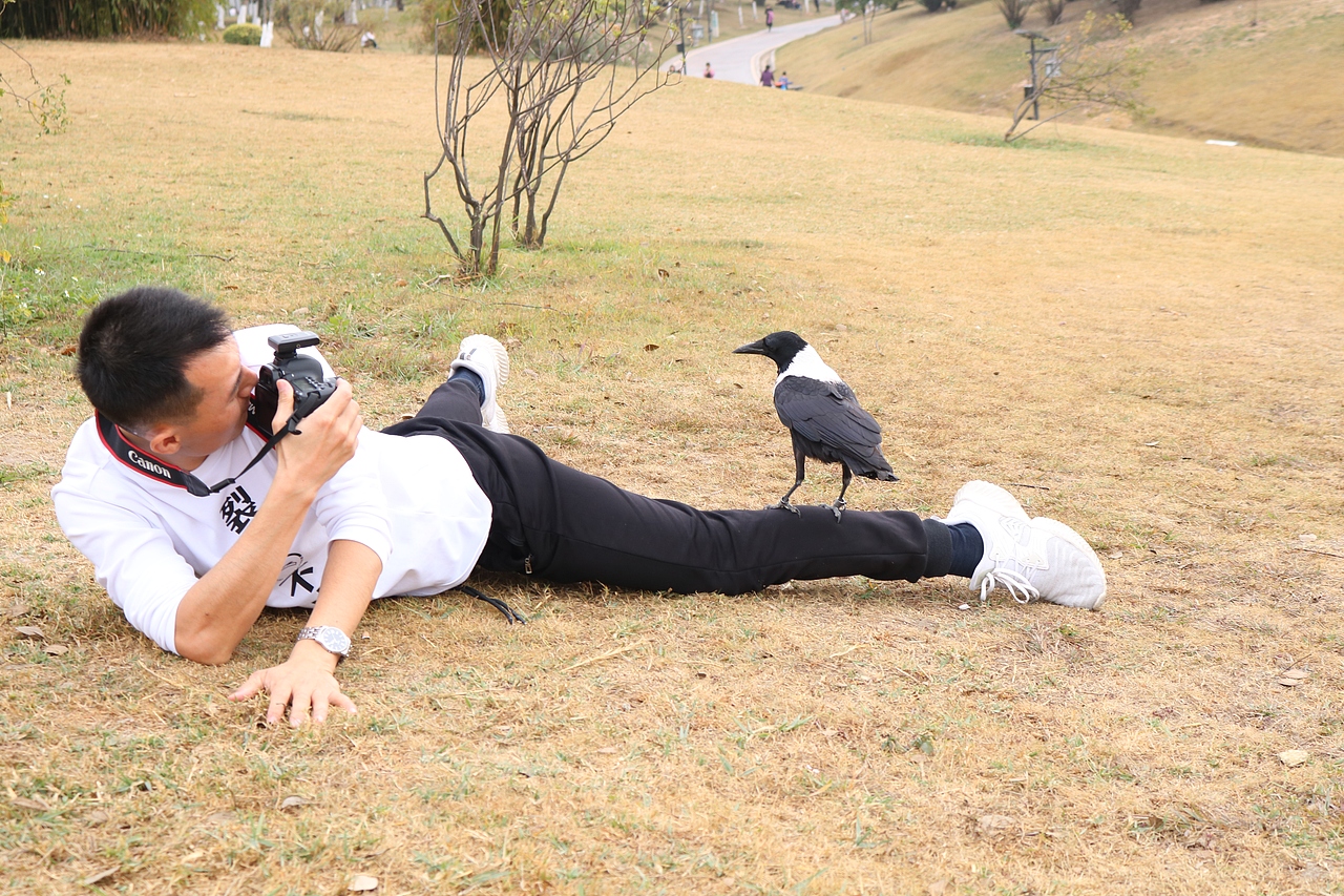 周末没事去白云湖玩下摄影