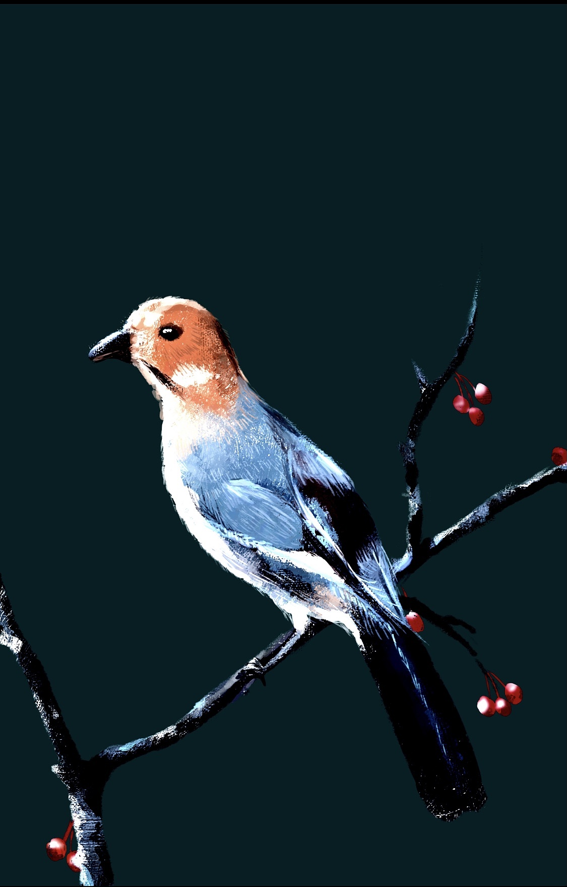 近日半厚涂习作