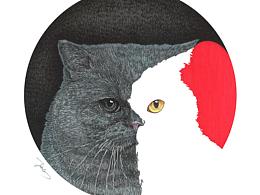 2017猫·态