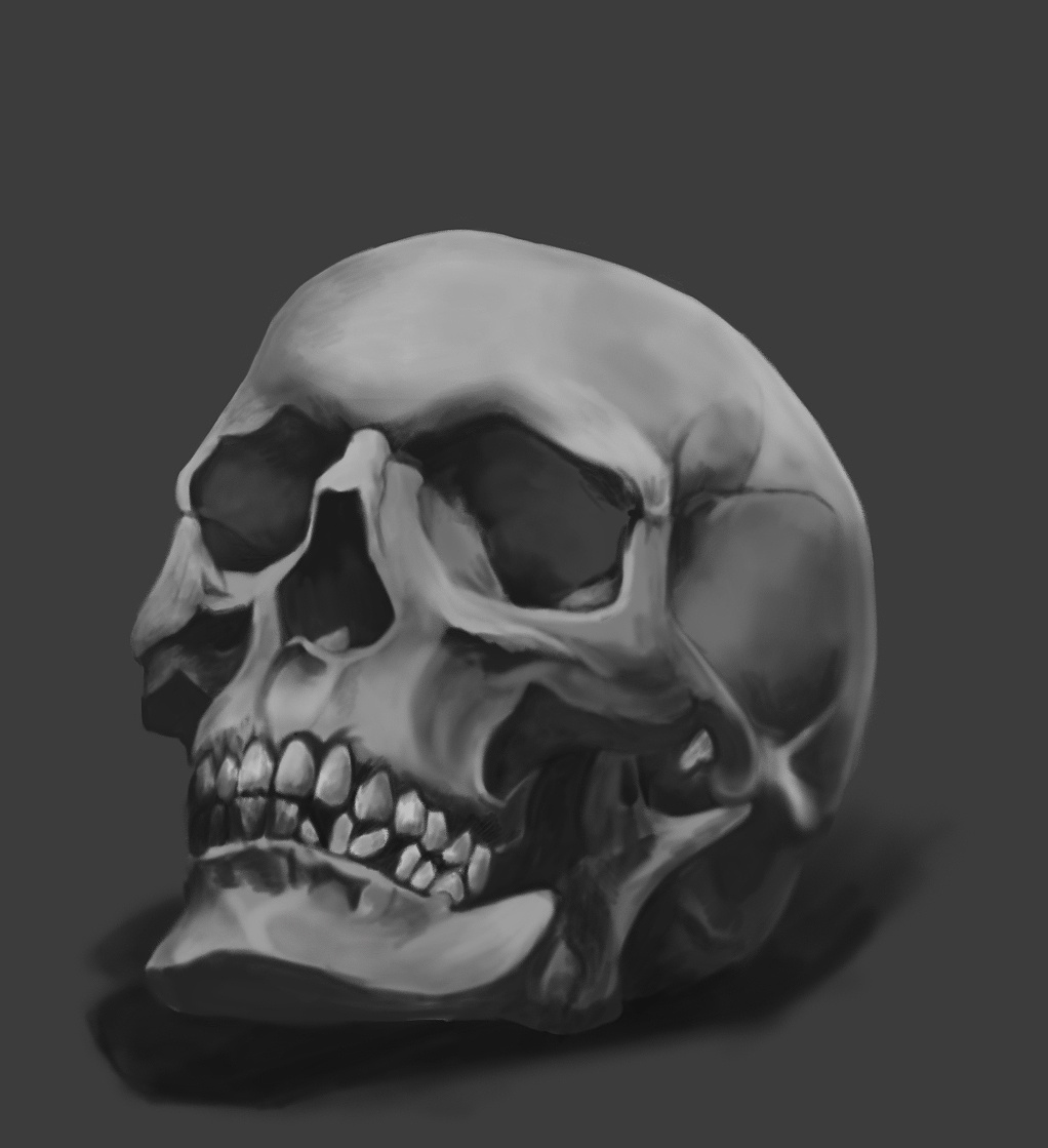 【手绘临摹】骷髅头