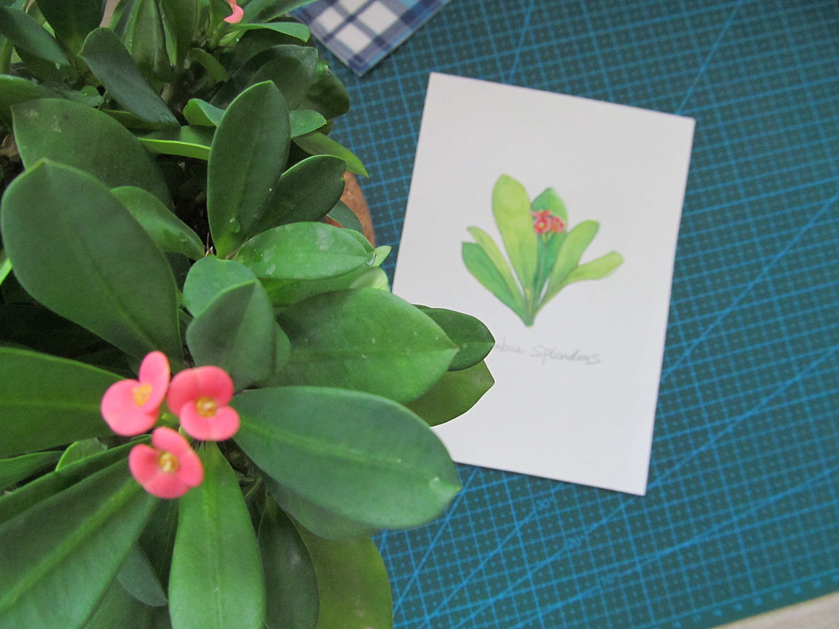 梦想de修行 系列之初起（图ZODA1OTYxMg==） - 绘画 - 站酷设计师自由的猞猁原创素材 - 站酷ZCOOL