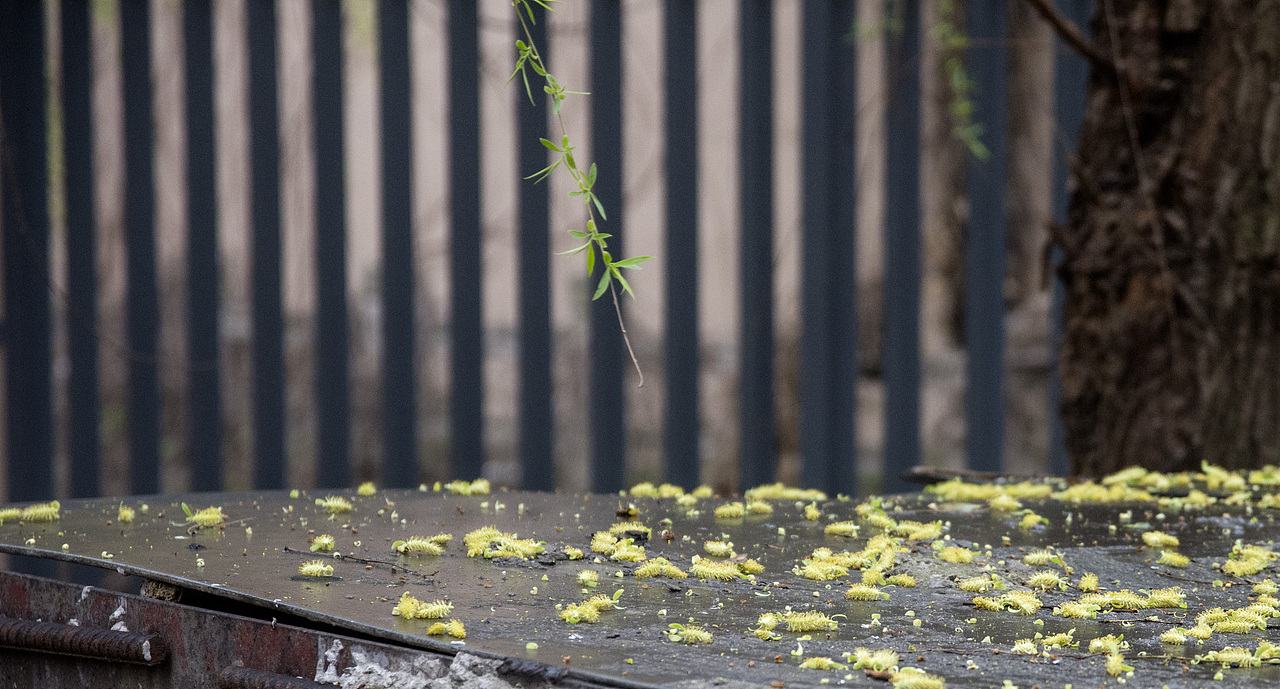 江南春景（图ZNDQ3OTA2NDA=） - 风光摄影 - 站酷设计师庄玉原创素材 - 站酷ZCOOL