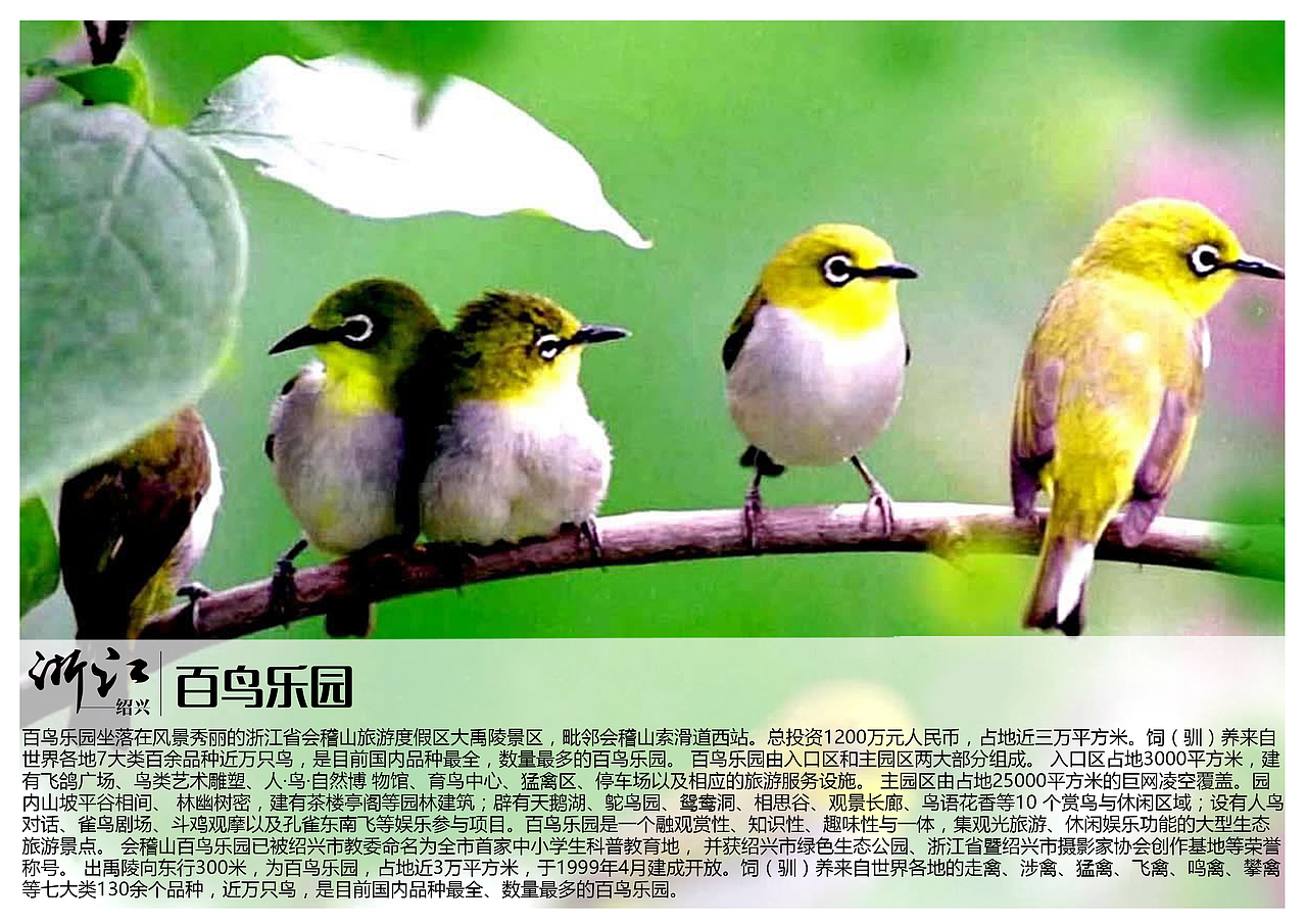 浙江绍兴景点【一】（图ZMTAzOTQxODI0） - 书籍/画册 - 站酷设计师浅墨幺幺原创素材 - 站酷ZCOOL