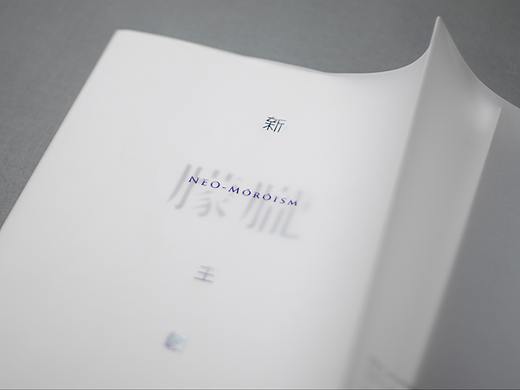 《新朦胧主义》书籍