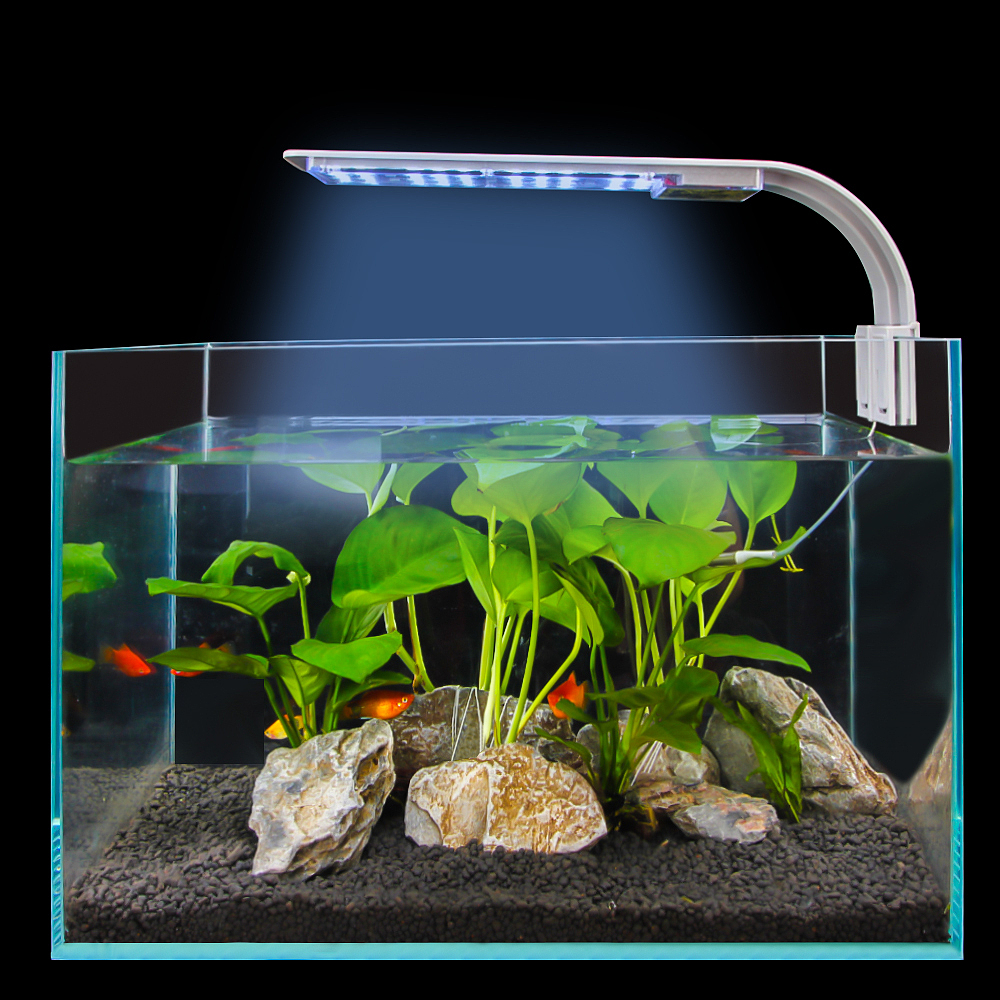 水族鱼缸夹灯作品（图ZMjA2MTE2MjI0） - 产品摄影 - 站酷设计师邓欣荣原创素材 - 站酷ZCOOL