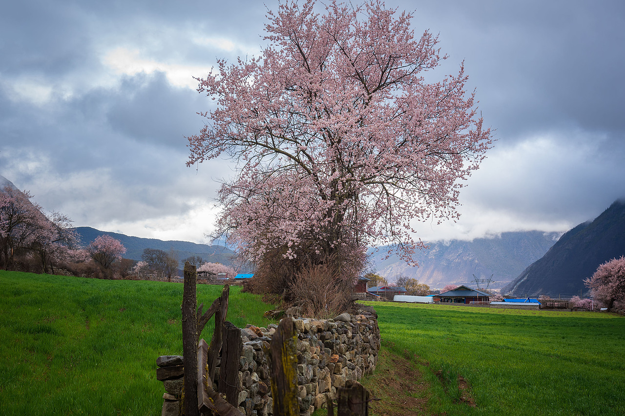 桃花沟（图ZMTU5NzI4Mzgw） - 风光摄影 - 站酷设计师摄影师雪山飞兔原创素材 - 站酷ZCOOL