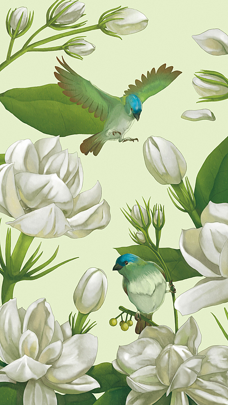 花鸟系列（图ZMjQ1NzQ5MDg=） - 商业插画 - 站酷设计师蔡一昕原创素材 - 站酷ZCOOL