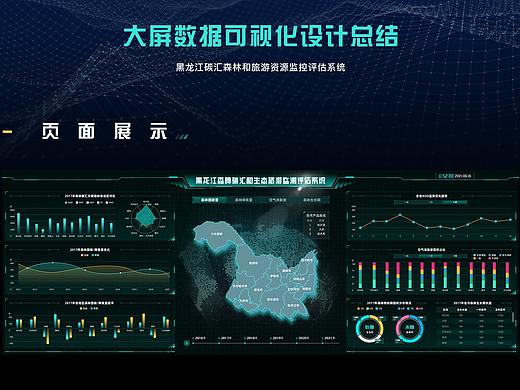 大屏可视化数据总结