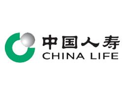 中国人寿功能迭代项目