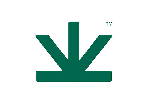 INGREEN 轻元素丨青汁