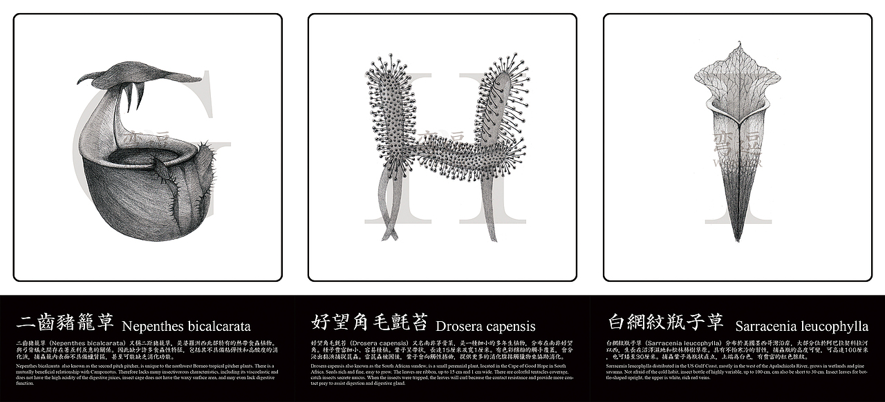 丑萌蟲蟲花—食蟲植物英文字體（圖ZMjIxOTU2MDA=） - 字體/字形 - 站酷設(shè)計(jì)師Howie豪仔原創(chuàng)素材 - 站酷ZCOOL