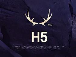 H5（品质）