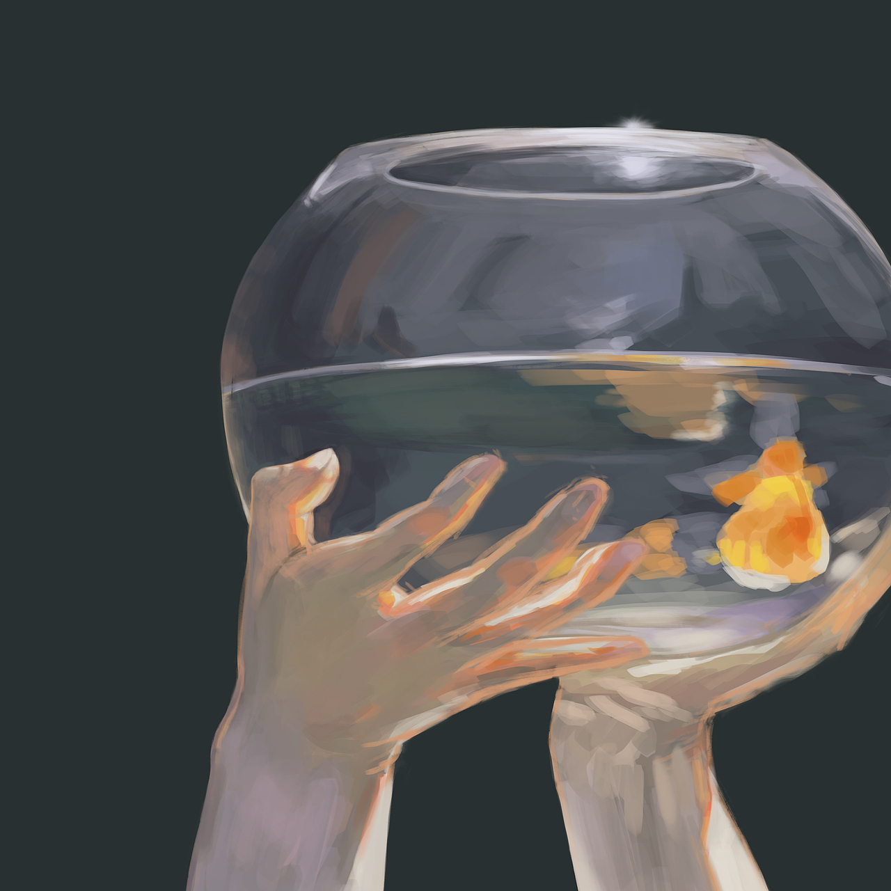 手部练习4(画照片 鱼缸 手)