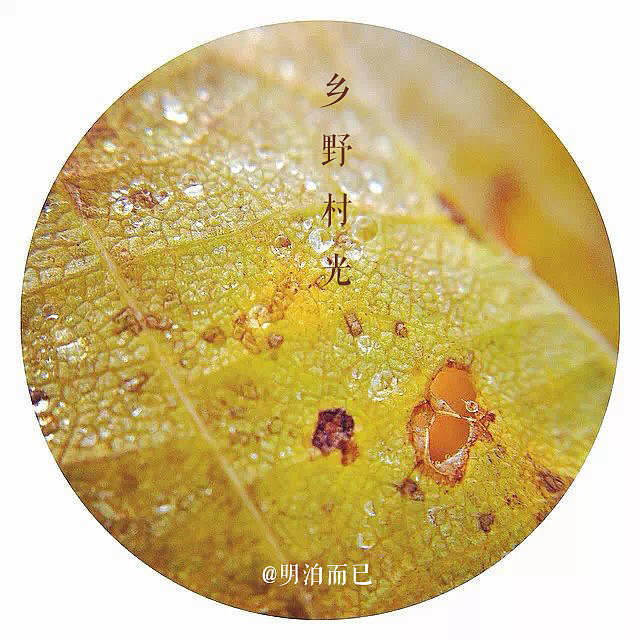 乡野村光之晨曦篇（图ZMjAzNjc5MDQ=） - 风光摄影 - 站酷设计师明泊而已原创素材 - 站酷ZCOOL