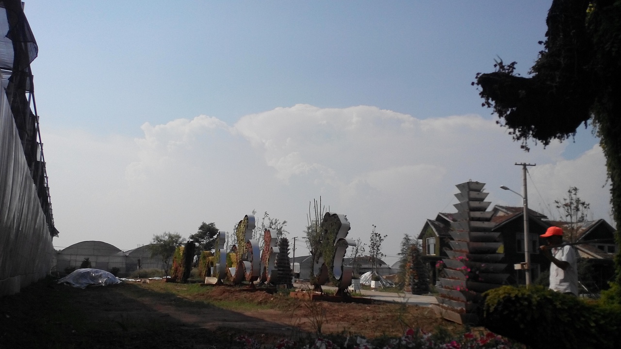 青岛绘美时尚装饰工程有限公司墙绘案例分享18（图ZMzYxNjU3NjQ=） - 新锐潮流插画 - 站酷设计师青岛绘美手绘壁画原创素材 - 站酷ZCOOL