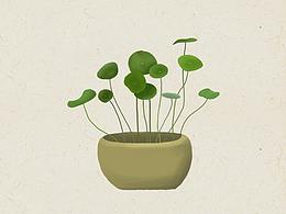 植物小畫(huà)