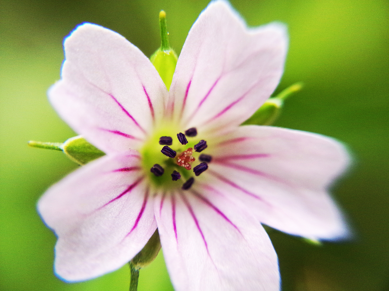 手机摄影拍拍拍~（图ZNTQyODcwMTI=） - 产品摄影 - 站酷设计师一大口黑锅原创素材 - 站酷ZCOOL