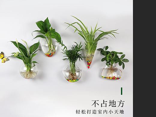 绿植详情页