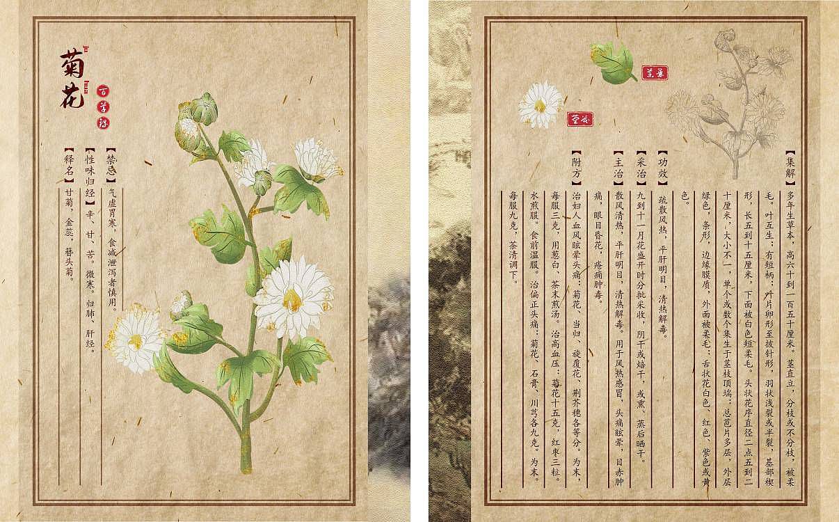 《本草纲目》龙鳞装书籍装帧设计