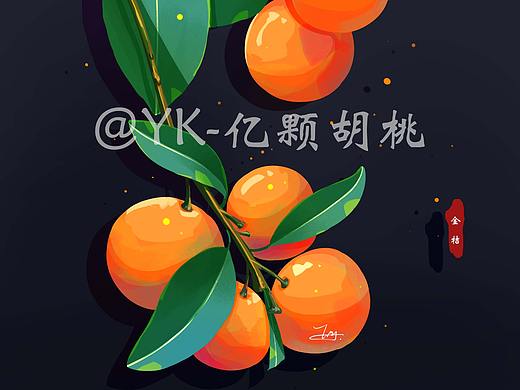 美食和植物插画