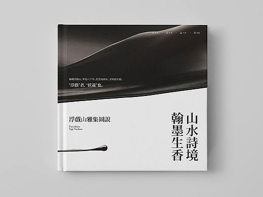 两本好厚的画册截选。