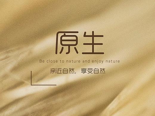 手机图标