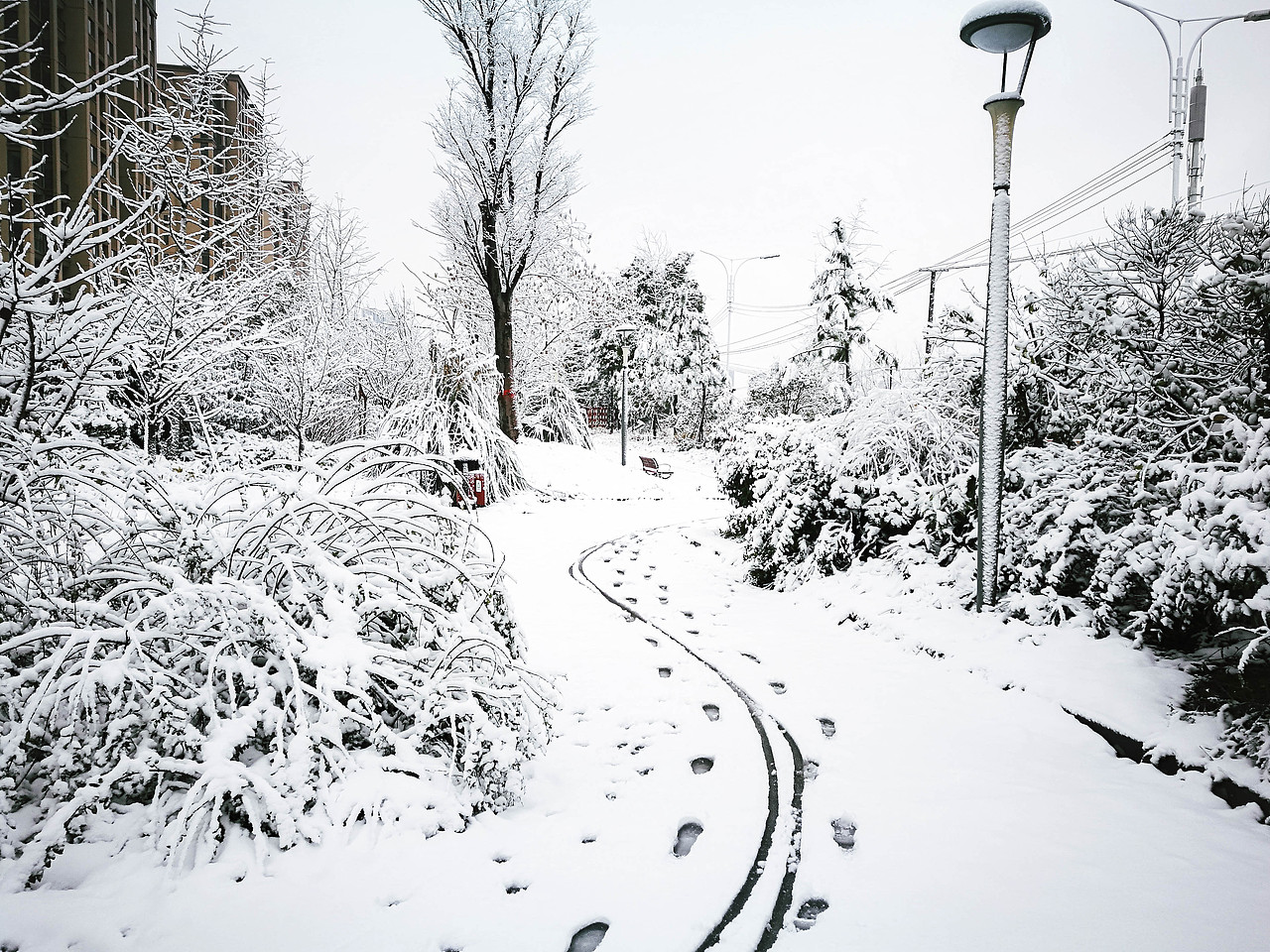 初雪·杭州（图ZMTAzNzkyNDQ0） - 风光摄影 - 站酷设计师dreanfiy原创素材 - 站酷ZCOOL