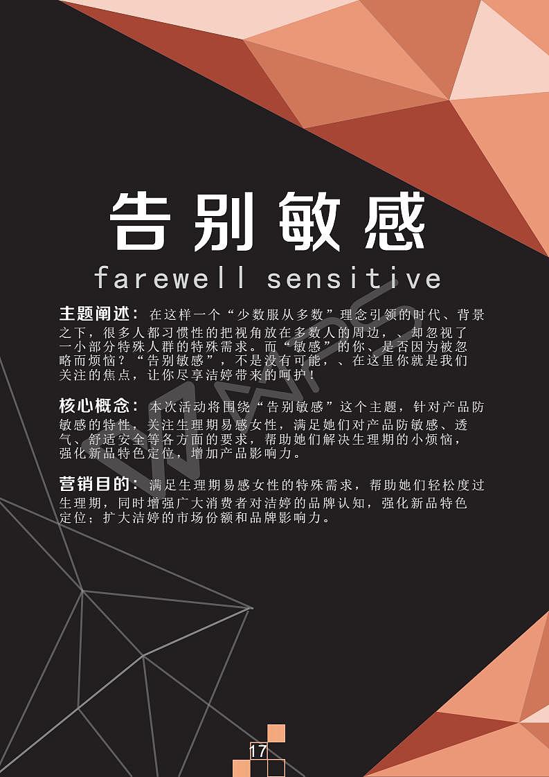 大广赛洁婷寻找少数派告别敏感营销策划案