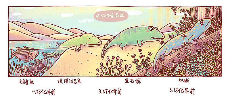 沉睡已久的化石（图ZMTM5OTcyOTY4） - 儿童插画 - 站酷设计师烨子爱画画原创素材 - 站酷ZCOOL